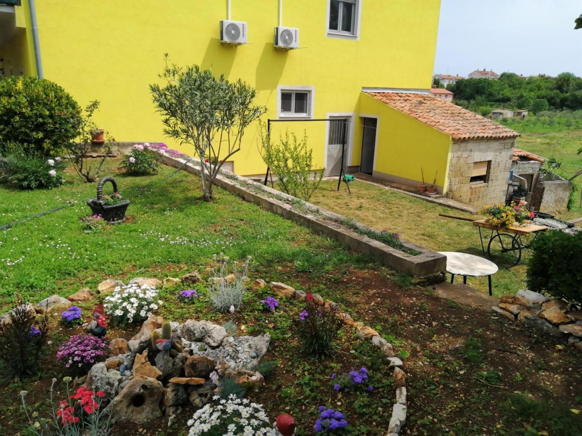 Oasis L&d Apartment Pula