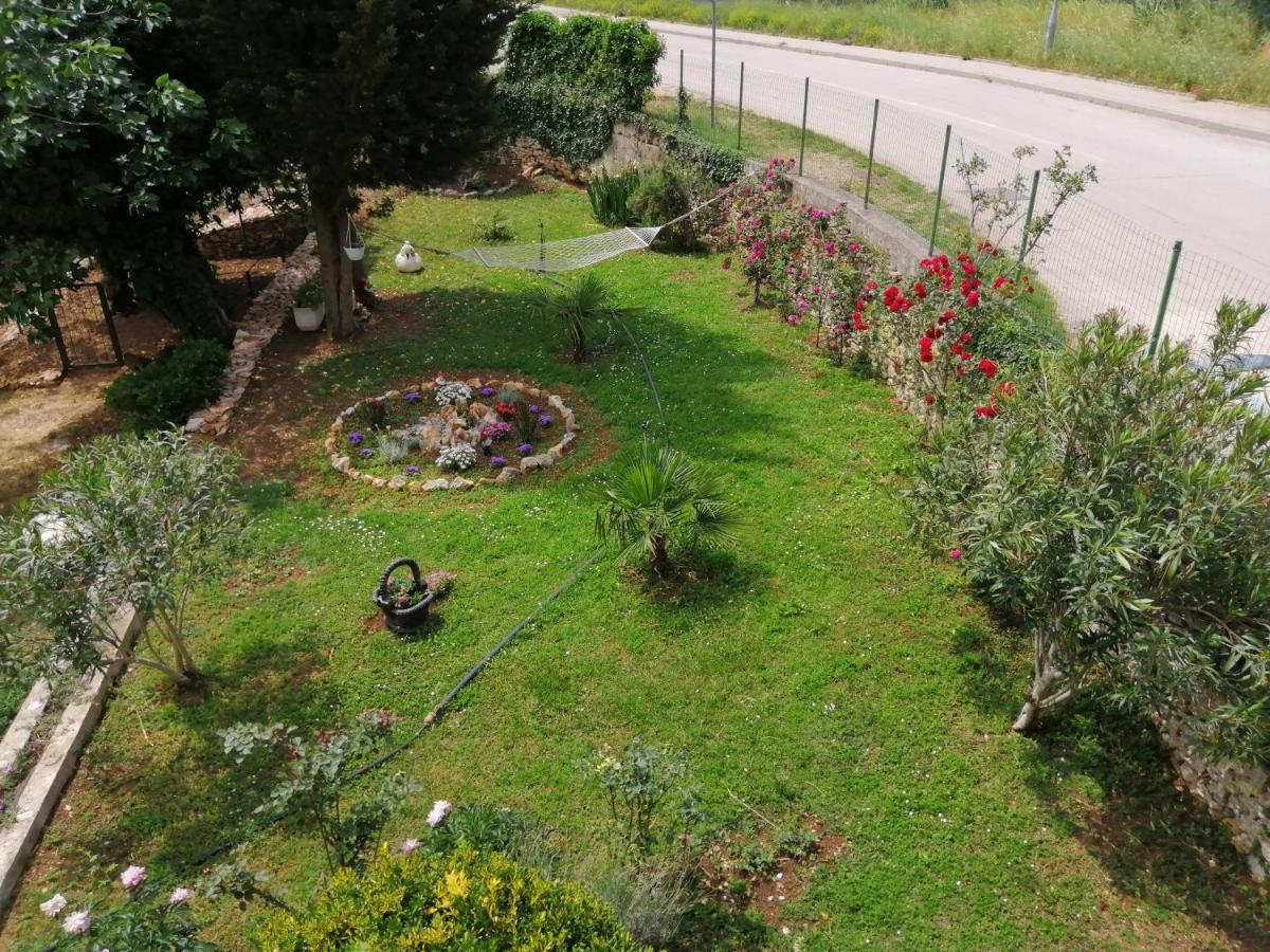 Oasis L&d Pula