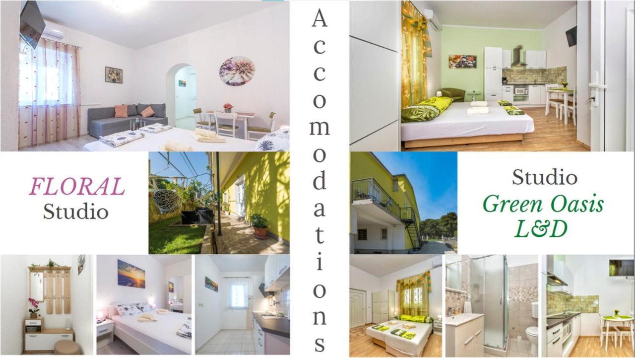 Oasis L&d Pula